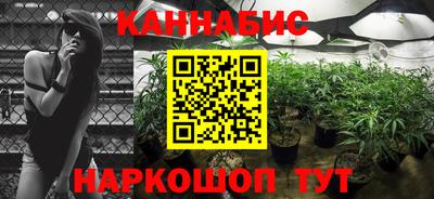spice Кандалакша